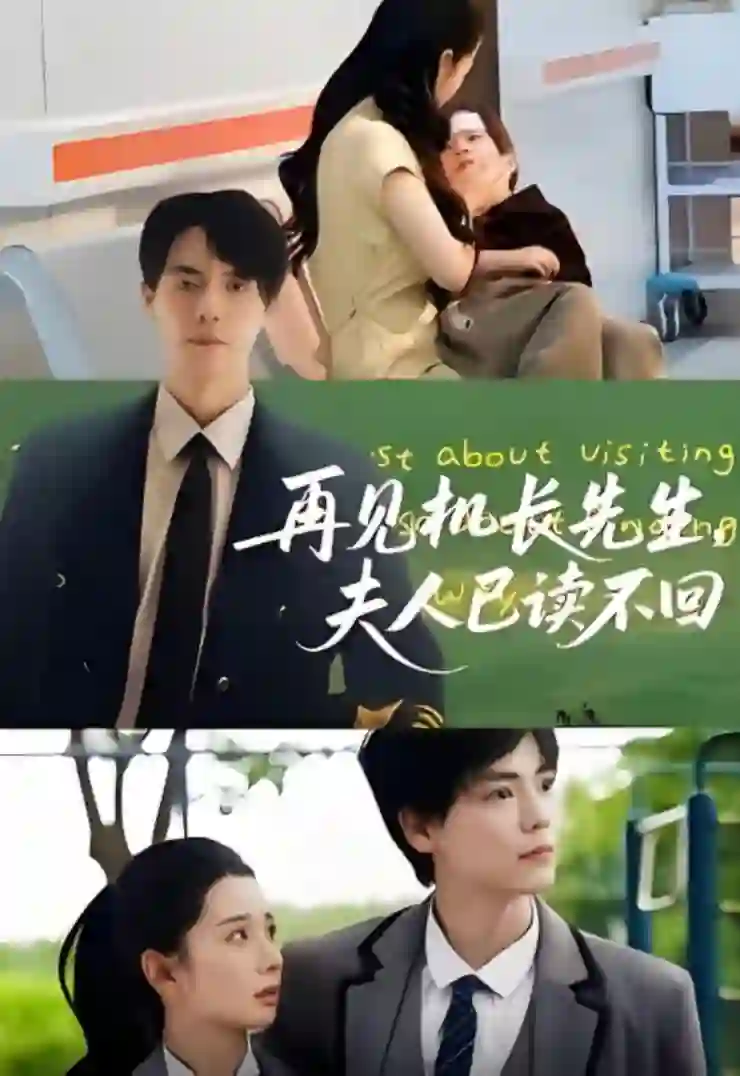 再见机长先生夫人已读不回