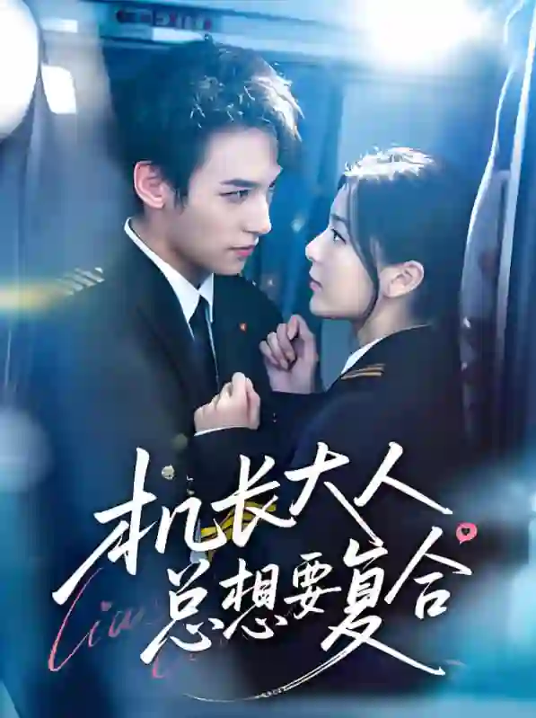 机长大人总想要复合