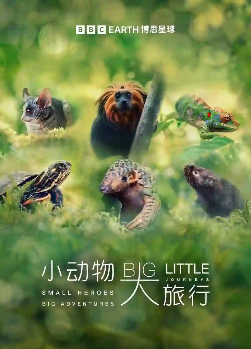 小动物 大旅行 第一季